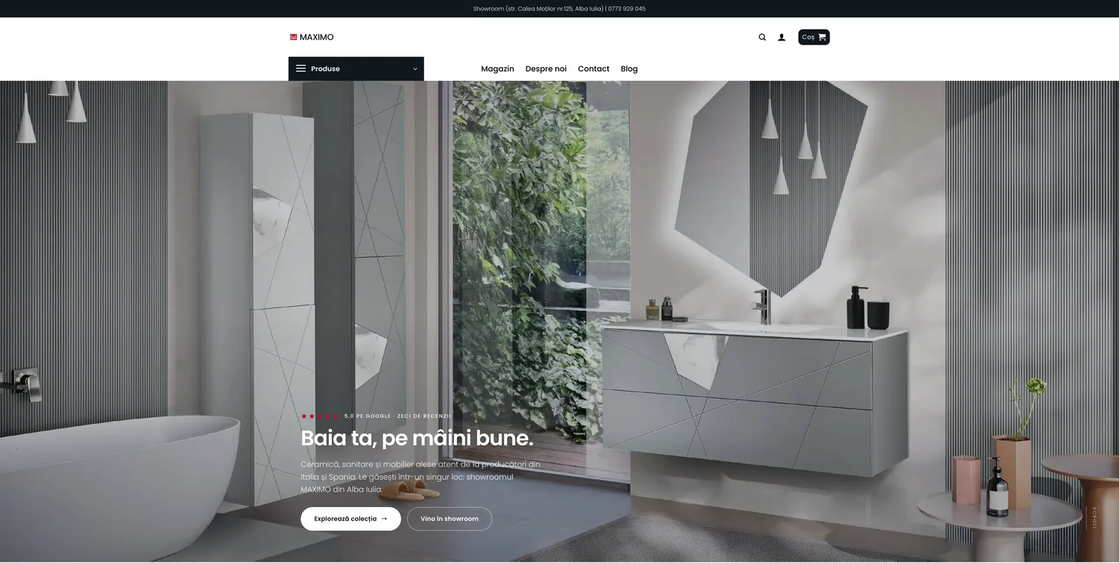 Captură din site-ul Maximo Showroom