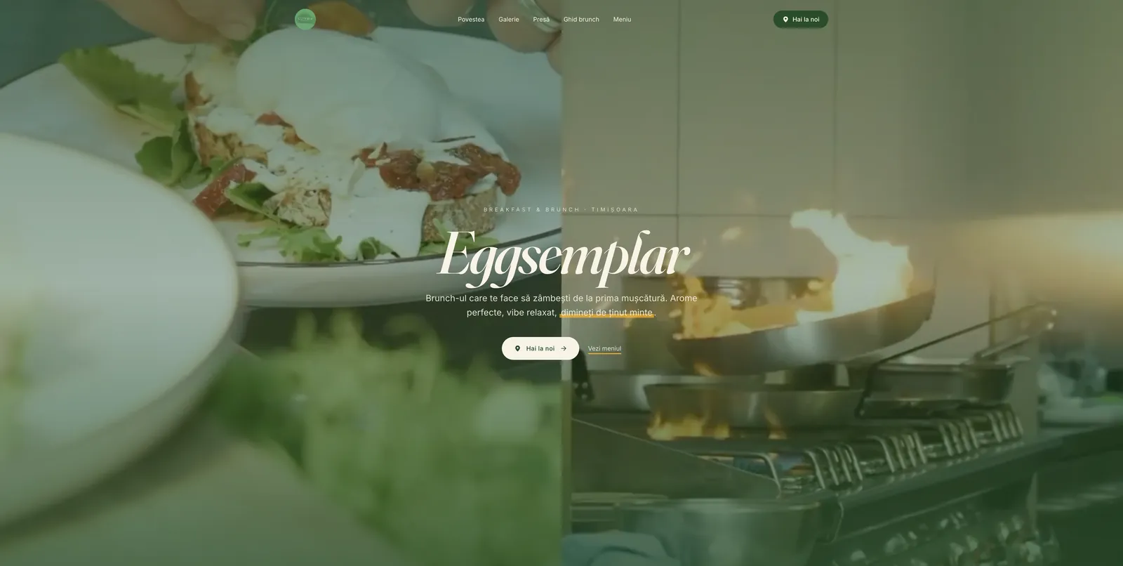 Captură din site-ul Eggsemplar